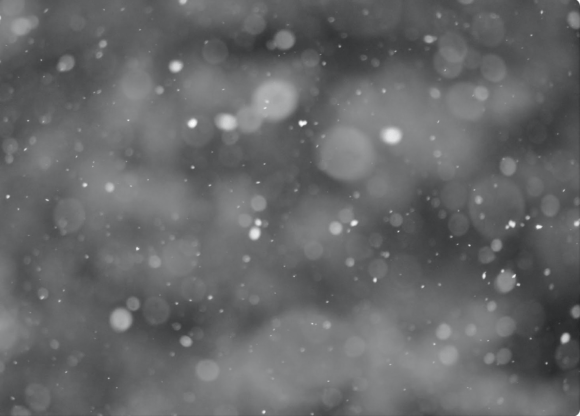 Download Snowflakes Overlay Real Snow Texture - Premium Bundle