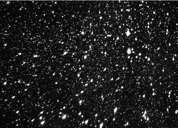 Download Snowflakes Overlay Real Snow Texture - Premium Bundle